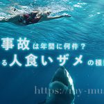 サメ事故は年間何件？日本に生息する人食いザメの種類・分布・危険性