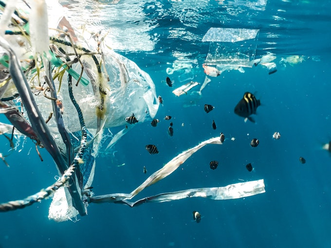 6月8日は世界海洋デー！プラスティックゴミの汚染から海を助けるには