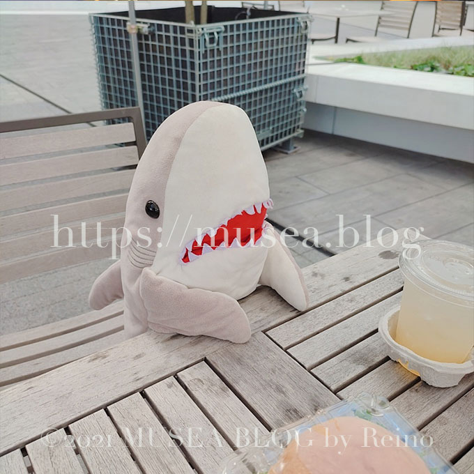 サメ好きが語る おかえりモネ 菅波先生のサメ回の感想や分析 Musea Blog ミューゼアブログ