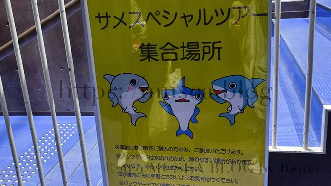サメスペシャルツアー：大洗水族館の「超サメ展 - The Mystery of Sharks」