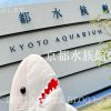 京都水族館のサメの種
