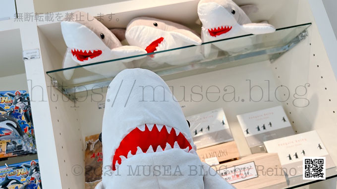 京都水族館のサメのぬいぐるみ