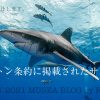 ワシントン条約に掲載されたサメ類と日本の対応について
