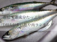魚は栄養成分たっぷり！DHAが多い魚や肉ランキング：UnsplashのBen Wicksが撮影した写真
