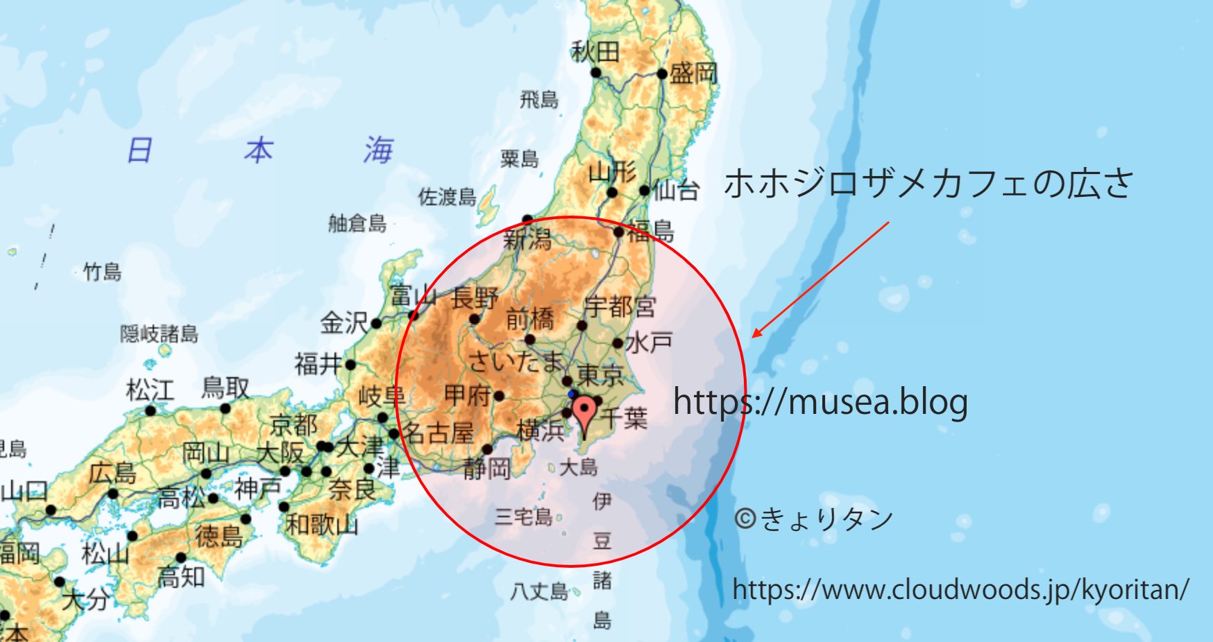 ホホジロザメ・カフェの広さを日本で表したら？